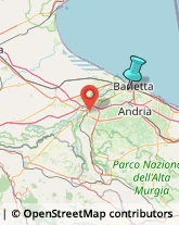 Elettrauto,76121Barletta-Andria-Trani