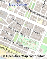 Viale del Lido, 44,00122Roma