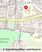 Viale Giulio Cesare, 56,28100Novara