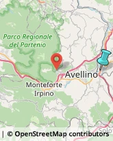 Agenzie Ippiche e Scommesse,83042Avellino