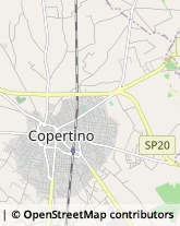 Via Margherita di Savoia, 78,73043Copertino