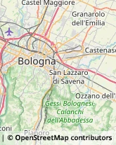 Articoli per Ortopedia,40123Bologna