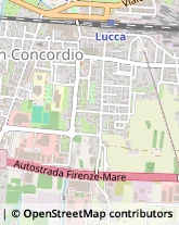 Via della Formica, 665,55100Lucca