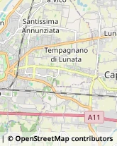 Viale Castracani, 981,55100Arancio