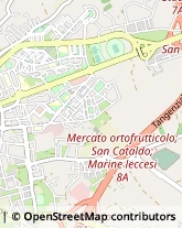 Mercati Generali e Concessionarie di Mercato,73100Lecce