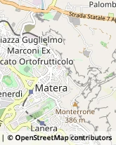 Consulenza Agricoltura e Foresta,75100Matera