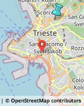 Consulenza Informatica,34133Trieste