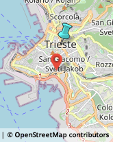 Consulenza Informatica,34122Trieste