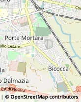 Via 23 Marzo 1849, 189/B,28100Novara