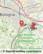 Via Risorgimento, 21,40068San Lazzaro di Savena