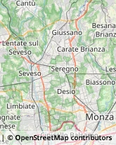 Feste - Organizzazione e Servizi,20841Monza e Brianza