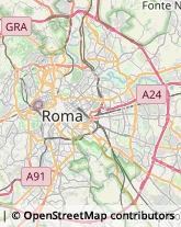 Via Francesco Carrara, 1,00196Roma