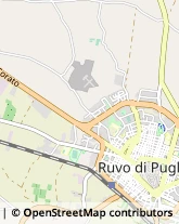 Via Umberto Giordano, 27,70037Ruvo di Puglia