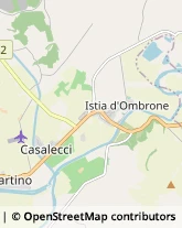 Via Gallura, 7,58100Grosseto