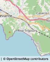 Via Valle Ragone, 17/B,16039Sestri Levante