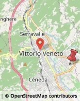 Via Stefani Giovanni, 2,31029Vittorio Veneto