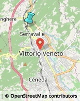 Campeggi, Villaggi Turistici e Ostelli,31029Treviso