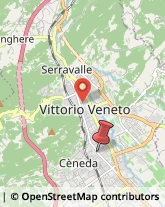 Viale Rizzera, 37,31029Vittorio Veneto