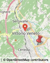 Via Sansovino, 54,31029Vittorio Veneto