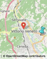 Campeggi, Villaggi Turistici e Ostelli,31029Treviso