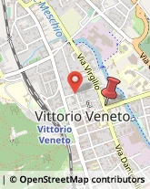 Via Virgilio, 43,31029Vittorio Veneto