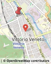 Viale Camillo Cavour, 173,31029Vittorio Veneto