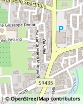 Radiatori Riscaldamento,51100Pistoia