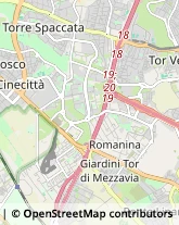 Via Michele Pane, 47/49,00169Roma