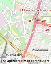 Viale Antonio Ciamarra, 24,00173Roma