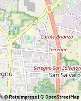 Via Gioacchino Rossini, 43,20831Seregno