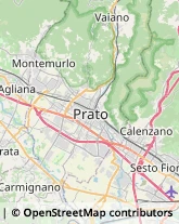 Perle,50013Firenze