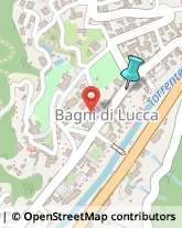 Comuni e Servizi Comunali,55022Lucca