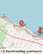 Via Tenente Michele Fiorino, 45,70056Molfetta