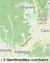 Via Roma, 13,54033Carrara