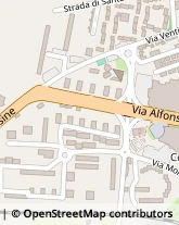 Via Alfonsine, 4,05100Terni