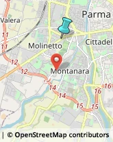 Articoli per Ortopedia,43125Parma