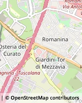 Via Gasperina, 161,00173Roma