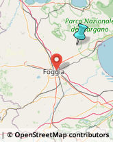 Concimi e Fertilizzanti,71013Foggia