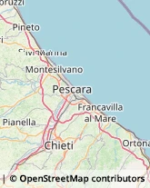 Consulenza Agricoltura e Foresta,66100Chieti