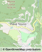 Via Alcide Degasperi, 12,38050Pieve Tesino