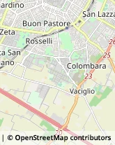 Viale Carlo Sigonio, 482,41124Modena