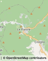 Via Castel di Cireglio, 77,51100Pistoia