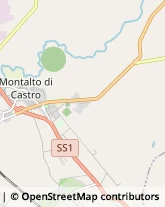 Loc. Poggi Alti, 3,01014Montalto di Castro