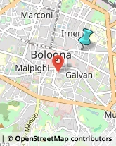 Licei - Scuole Private,40125Bologna