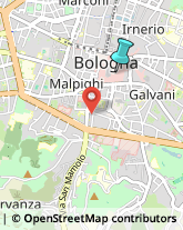 Abbigliamento,40124Bologna