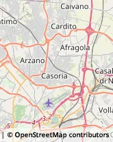 Corso Secondigliano, 427,80144Napoli