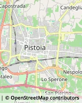 Via Gora e Barbatole, 148/G,51100Pistoia