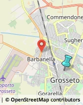 Farmacie,58100Grosseto