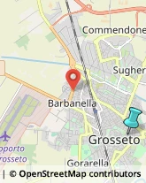 Farmacie,58100Grosseto