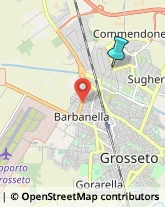 Farmacie,58100Grosseto